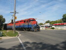 2004-10-01.0209.Guelph.jpg